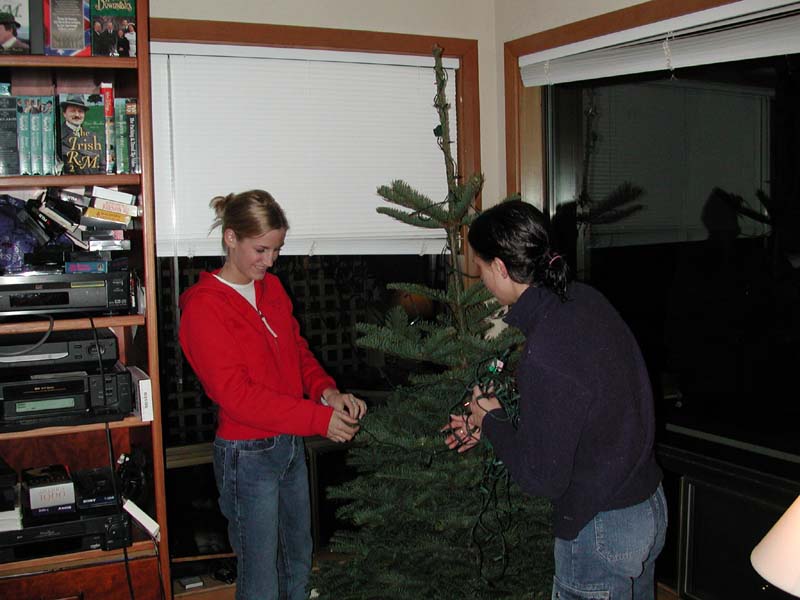 Stacie decorating tree 1.jpg 66.9K